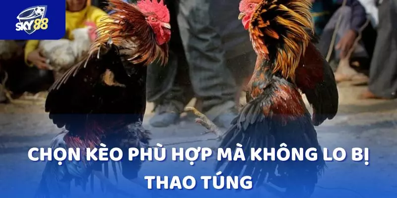 Dễ dàng so sánh, lựa chọn kèo phù hợp mà không lo bị thao túng