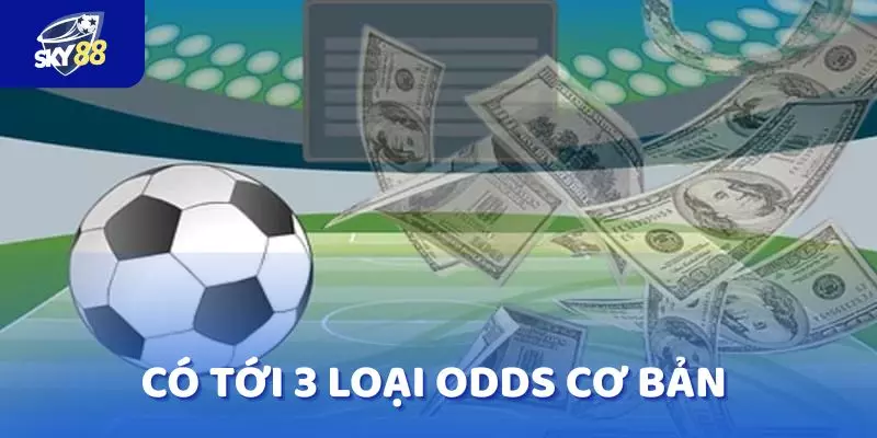 Có tới 3 loại odds cơ bản để người chơi chọn lựa